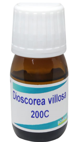 SBL Dioscorea Villosa Dilution