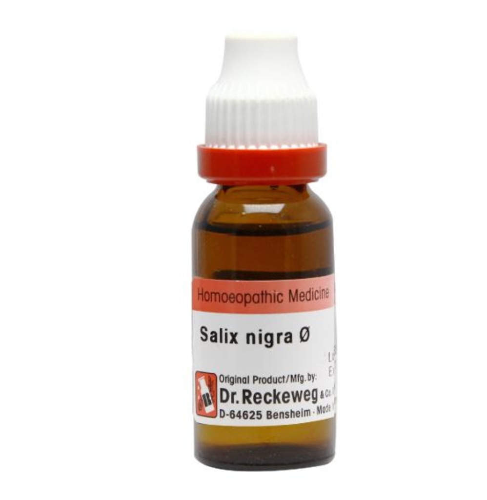 Dr. Reckeweg Salix Nig Mother Tincture Q