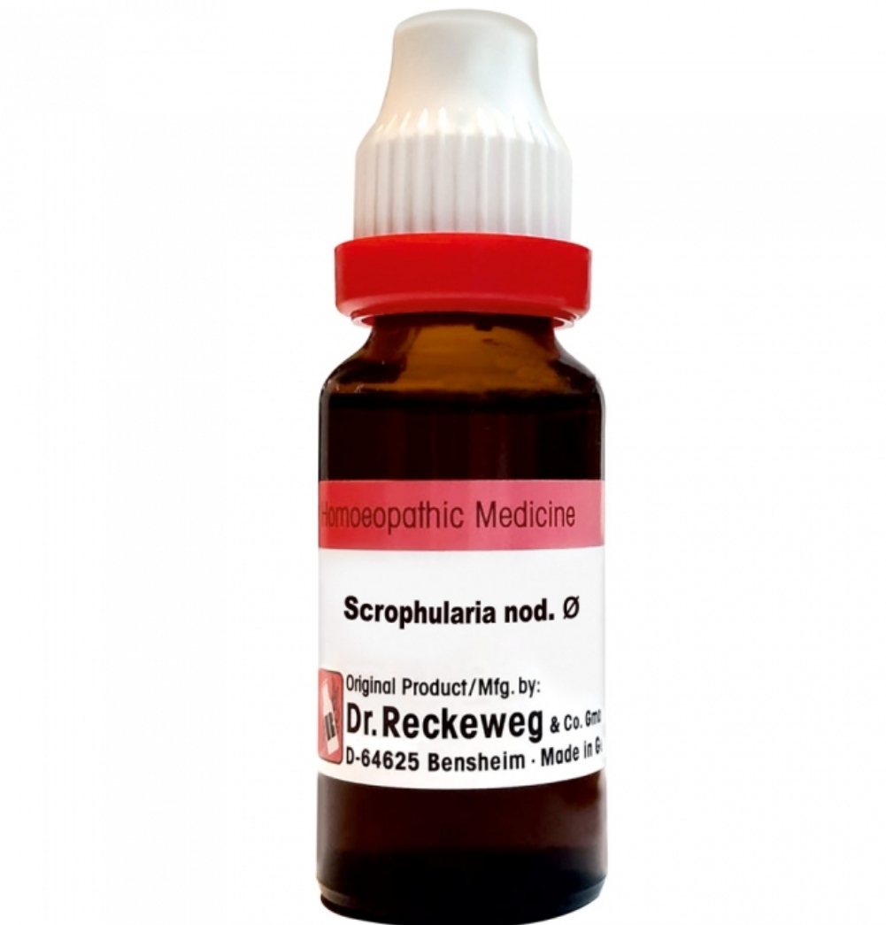 Dr. Reckeweg Scrophularia N Mother Tincture Q