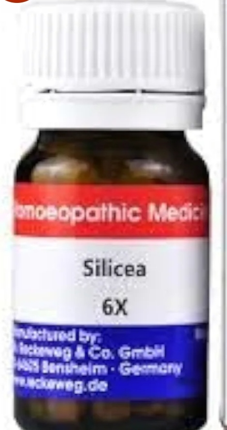 Dr. Reckeweg Silicea Tablet