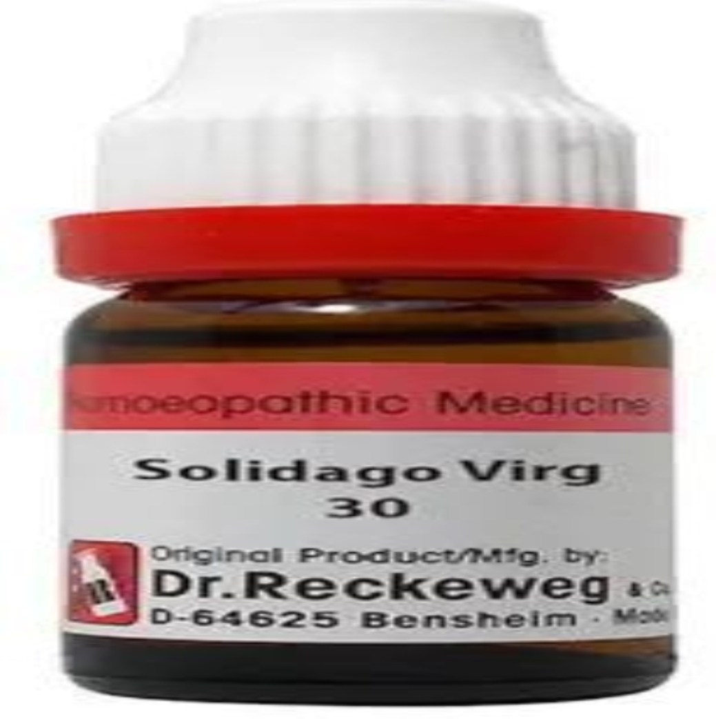 Dr. Reckeweg Solidago Virg.