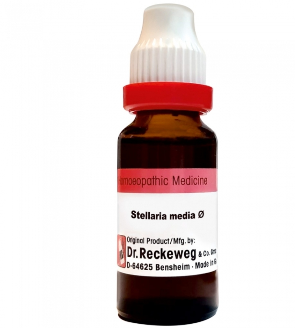 Dr. Reckeweg Stellaria Media Mother Tincture Q