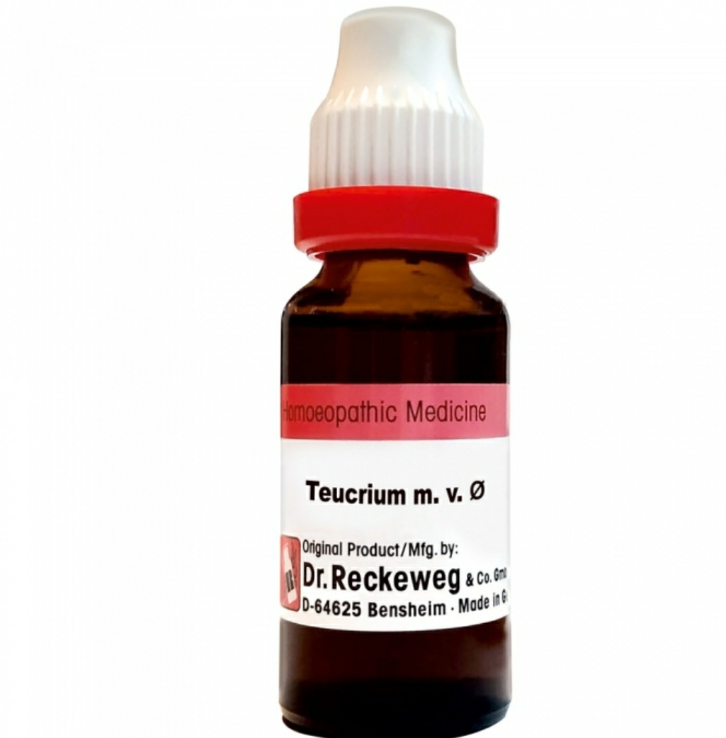 Dr. Reckeweg Teucrium M V