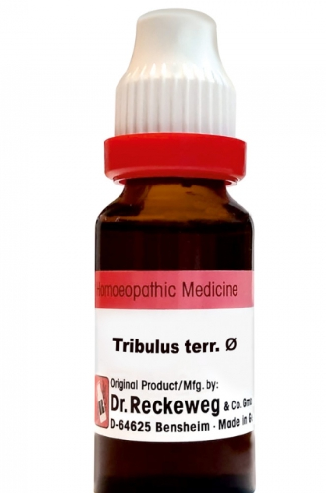 Dr. Reckeweg Tribulus Terr Mother Tincture Q