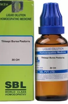 SBL Thlaspi Bursa Pastoris