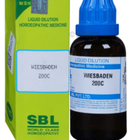 SBL Wiesbaden Dilution