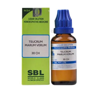 SBL Teucrium Marum Verum Dilution