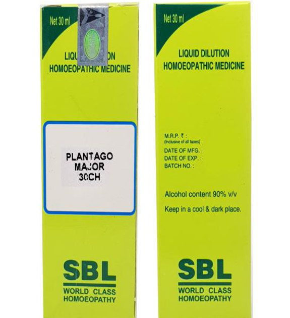 SBL Plantago Major