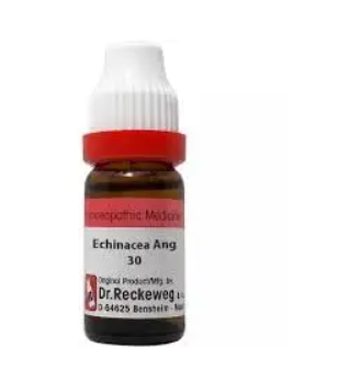 Dr. Reckeweg Echinacea Ang.