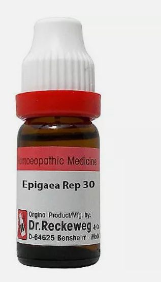 Dr. Reckeweg Epigaea