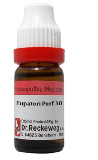 Dr. Reckeweg Eupatorium Perf.