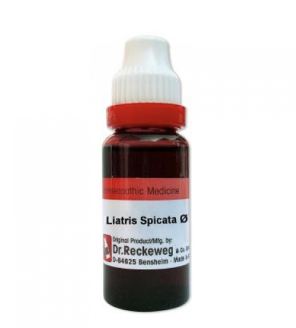 Dr. Reckeweg liatris spicata