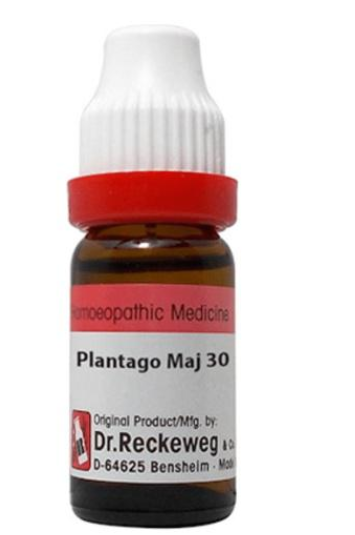 Dr. Reckeweg Plantago M