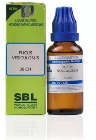 SBL Fucus Vesic