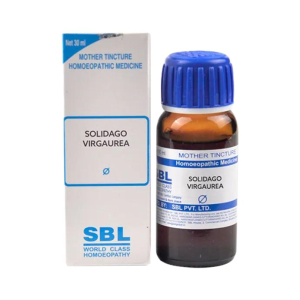 SBL Solidago Virgaurea