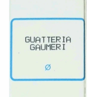 sbl guatteria gaumeri mother tincture q