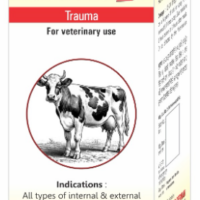 Krigs KRIGVET 7 - Homeopathic remedy for trauma, wounds, fractures, and ligament injuries in pets.