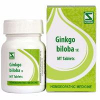 Ginkgo Biloba 1X MT Tablets for circulation and mental alertness