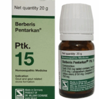 Dr Willmar Schwabe Germany Berberis Pentarkan Ptk. 15 Tablet pack front view