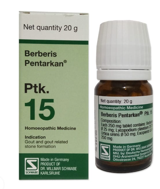 Dr Willmar Schwabe Germany Berberis Pentarkan Ptk. 15 Tablet pack front view