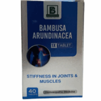 Burnett Bambusa Arundinacea 1X Tablets for bone and joint health