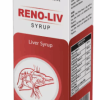 Bottle of REPL Reno-Liv Syrup for liver detox and digestive support