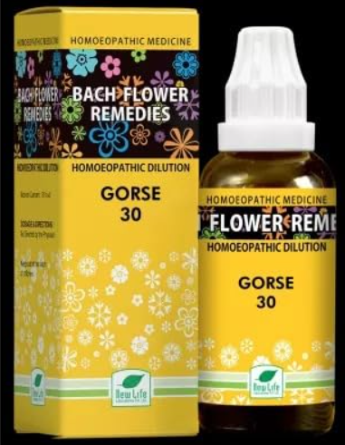 New Life Bach Flower Gorse 30 remedy for hopelessness and emotional healing
