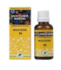 New Life Bach Flower Wild Rose 30 remedy for emotional renewal and motivation
