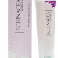 New Life Echinacea Antiseptic & Antibacterial Ointment for wounds and infection protection