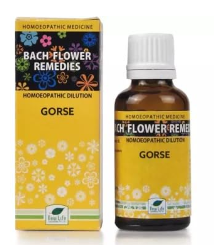 New Life Bach Flower Gorse 30 for restoring hope and emotional upliftment