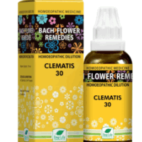 New Life Bach Flower Clematis 30 remedy for focus, awareness and emotional grounding
