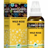 New Life Bach Flower Wild Rose 30 remedy for emotional renewal and motivation