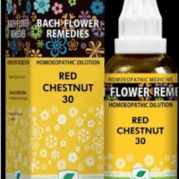 New Life Bach Flower Red Chestnut 30 for calming excessive worry and emotional balance