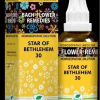 New Life Bach Flower Star of Bethlehem 30 for emotional healing and trauma relief