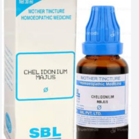 SBL Chelidonium Majus Q 100ml homoeopathic mother tincture bottle