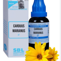 SBL Carduus Marianus Q 100ml homoeopathic mother tincture bottle