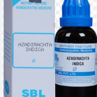 SBL Azadirachta Indica Q 100ml Neem homoeopathic mother tincture bottle