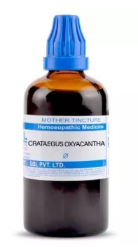 SBL Crataegus Oxyacantha Q 100ml homoeopathic mother tincture bottle