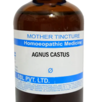 SBL Agnus Castus Q 100ml homoeopathic bottle