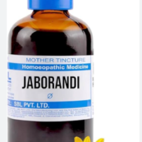 SBL Jaborandi Q 100ml homoeopathic mother tincture bottle for hair fall