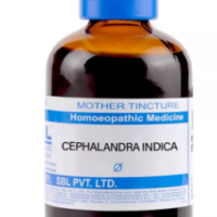 SBL Cephalandra Indica Q 100ml homoeopathic bottle