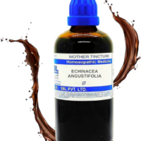 SBL Echinacea Angustifolia Q 100ml homoeopathic mother tincture bottle