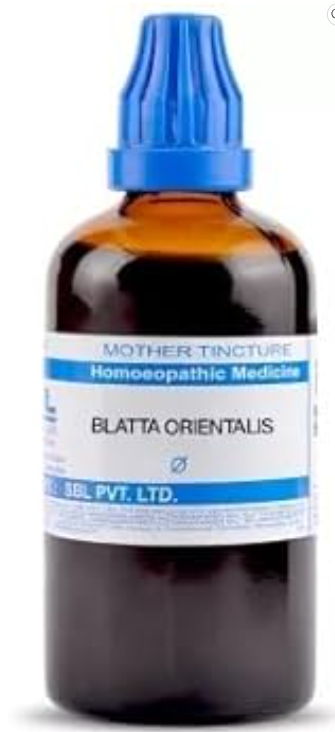 SBL Blatta Orientalis Q 100ml homoeopathic mother tincture bottle
