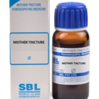 SBL Leptandra Q 100ml homoeopathic mother tincture bottle