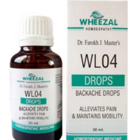 Wheezal WL04 Backache Drops for back pain relief and spinal comfort support