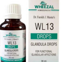 Wheezal WL13 Glandula Drops for glandular health and hormonal balance support