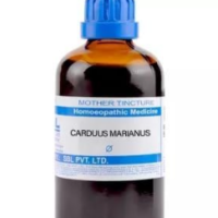SBL Carduus Marianus Q 100ml homoeopathic bottle