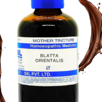 SBL Blatta Orientalis Q 100ml homoeopathic bottle