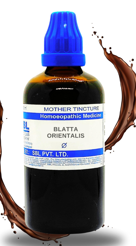 SBL Blatta Orientalis Q 100ml homoeopathic bottle