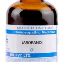 SBL Jaborandi Q 100ml homoeopathic bottle for hair fall